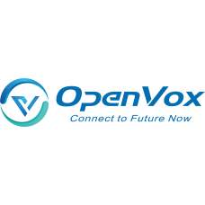 Флеш память OpenVox FM100